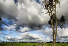 利物浦逆袭：AC米兰传统强队落败