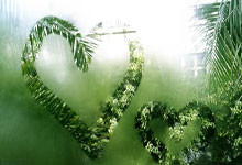 欧洲预选赛现场：精彩瞬间令人啧啧称奇