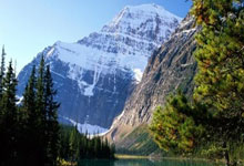 力求逆转！球队在比赛中奋力追赶领先者