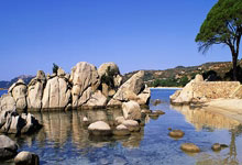 佩莱亚奇两球破门，塞尔维亚队不敌法国，无缘欧国联决赛