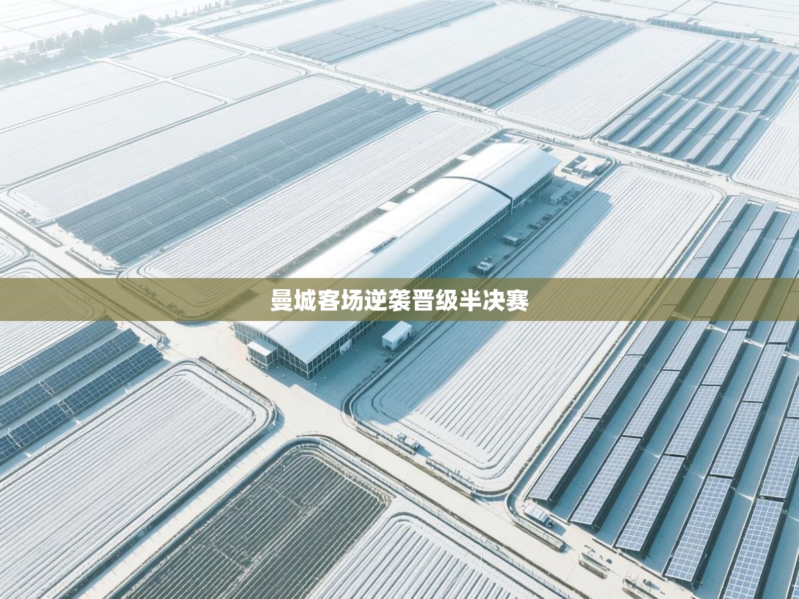 曼城客场逆袭晋级半决赛  第2张