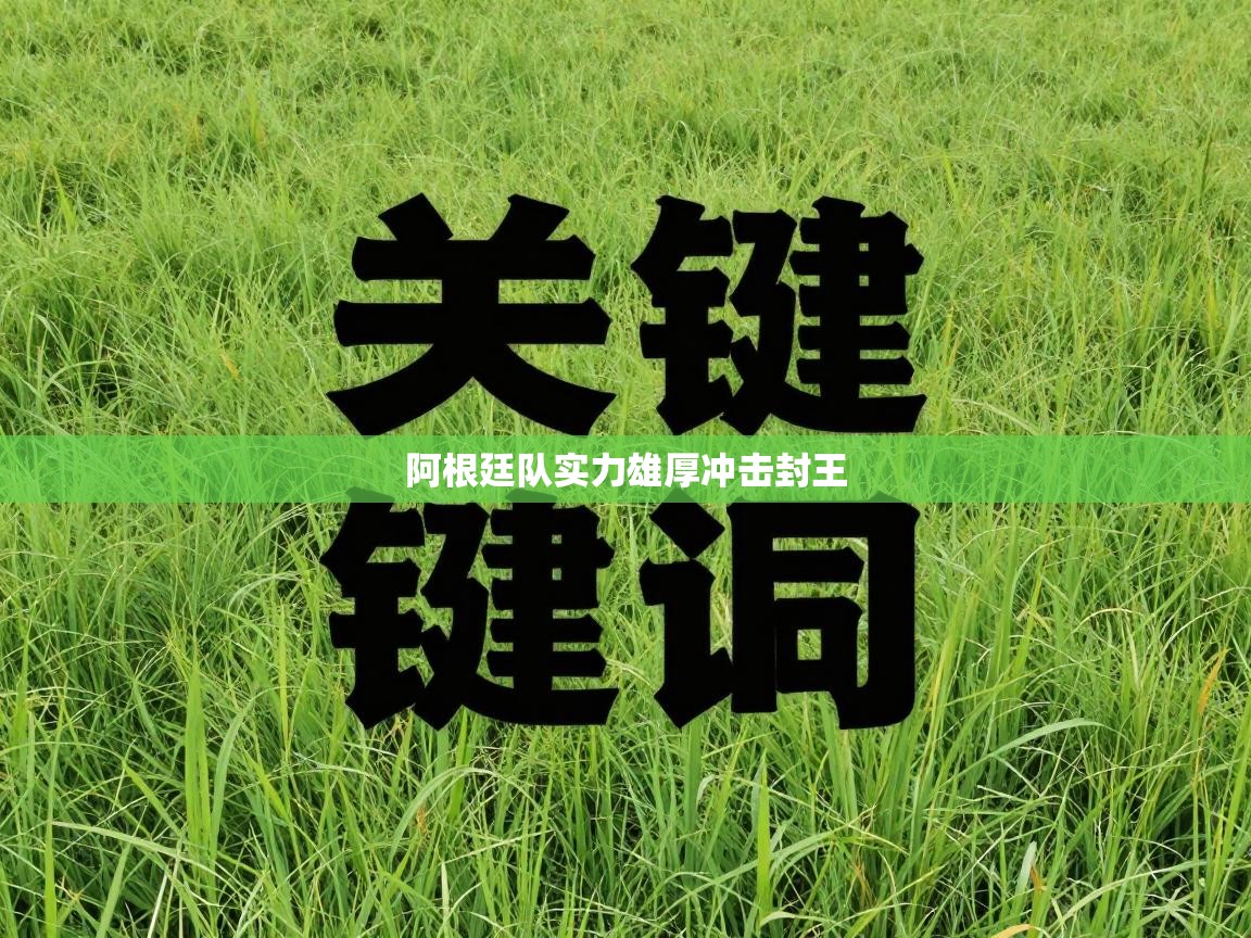 阿根廷队实力雄厚冲击封王 第2张